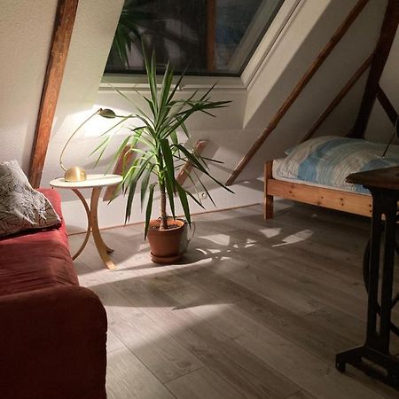 Privates Appartment Ferienwohnung Im Einfamilienhaus Düsseldorf Zewnętrze zdjęcie